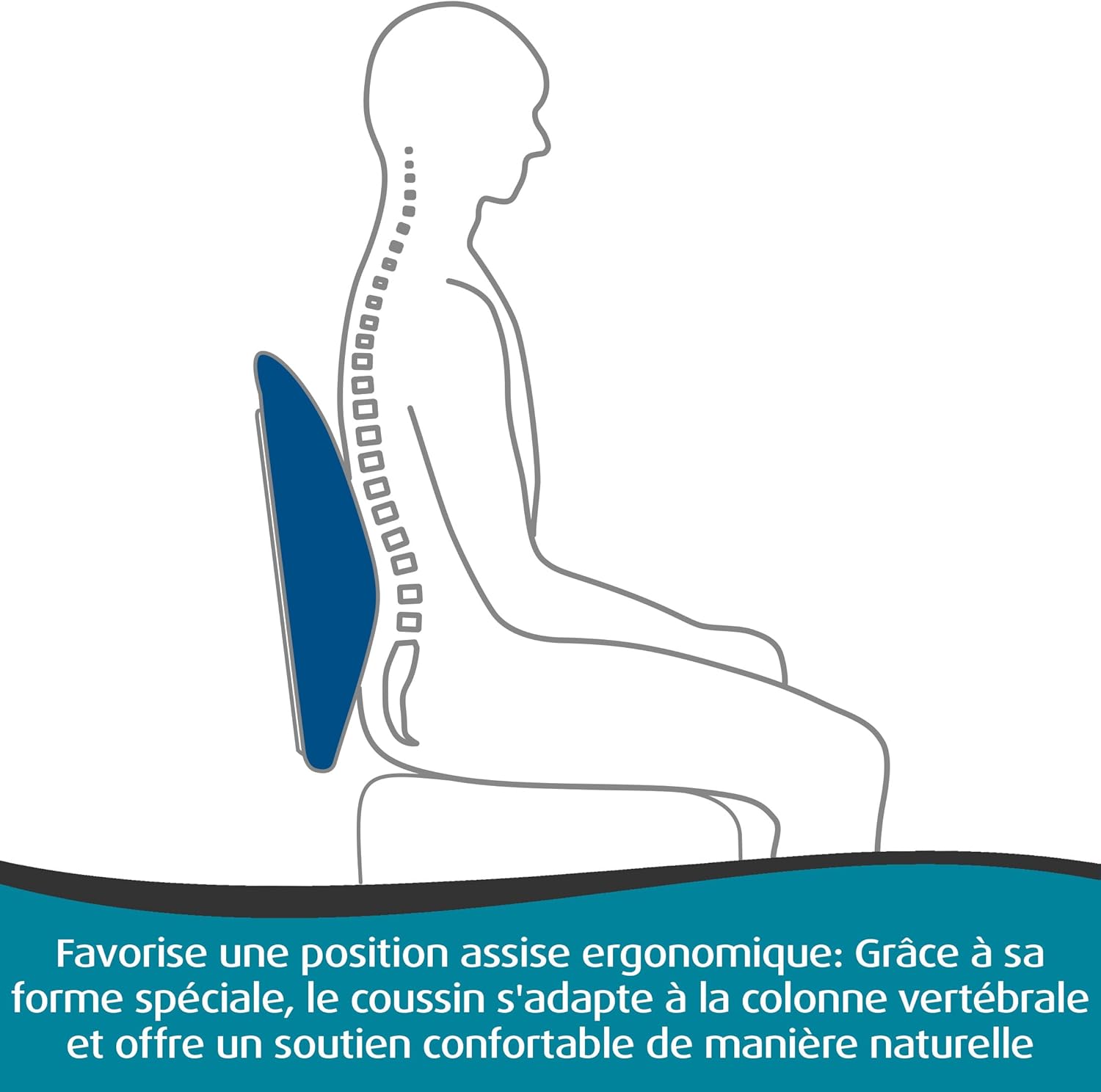 TEMPUR Transit en situation